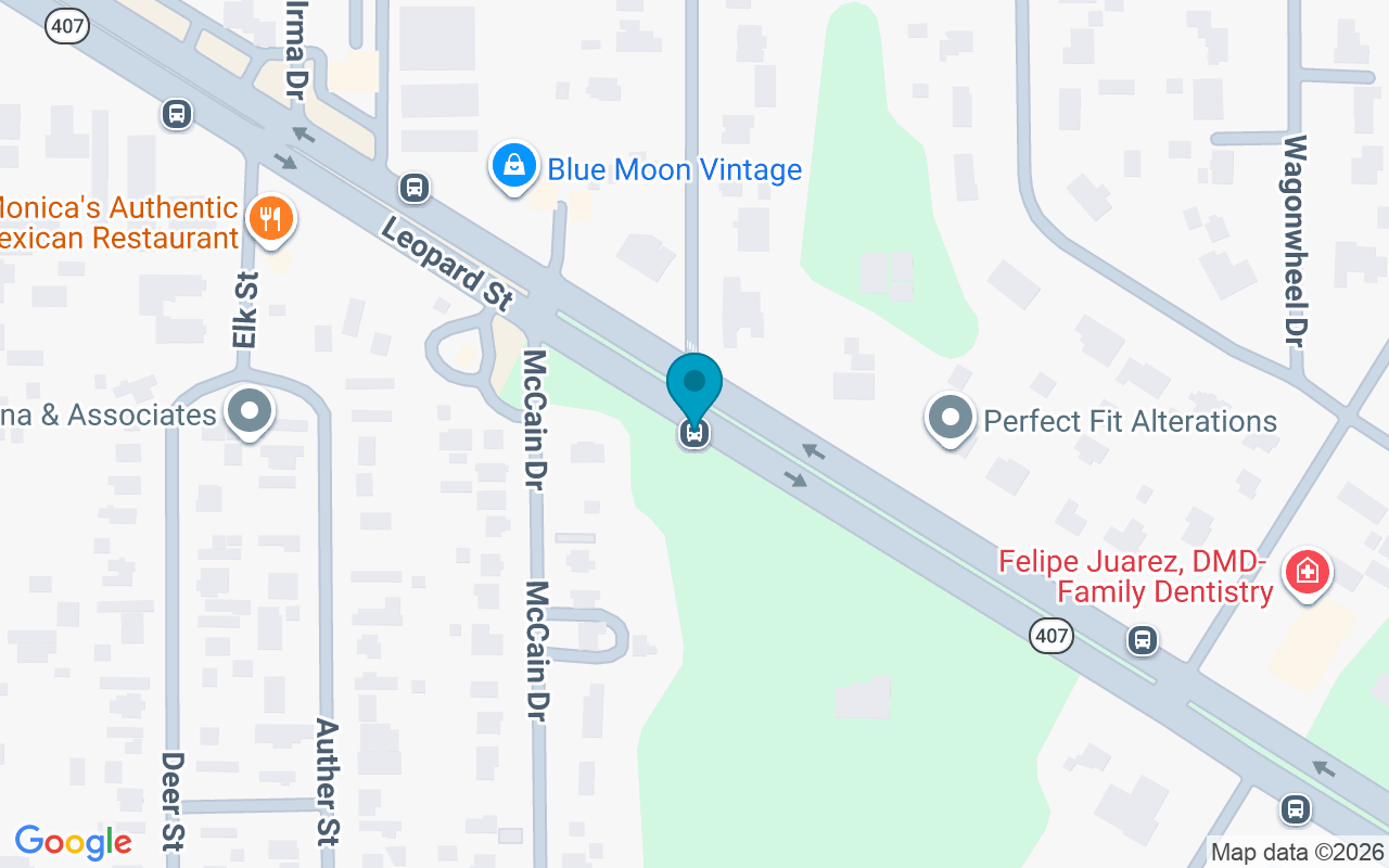 Map showing the location of Leopard @ McCain
