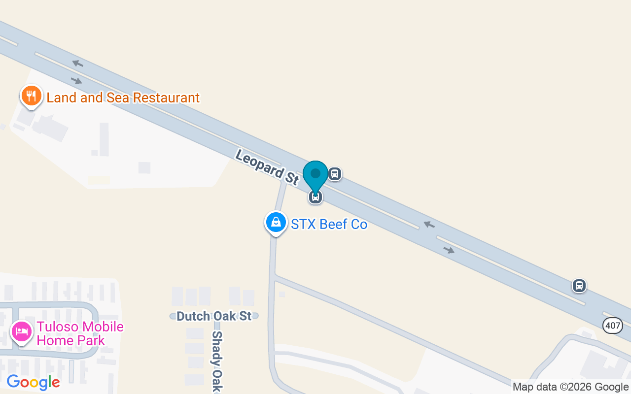 Map showing the location of Leopard @ Stx Beef
